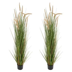 Artificial Grass Plant, 2 Pack 59 inch Horsetail Reed Grass in Pot
